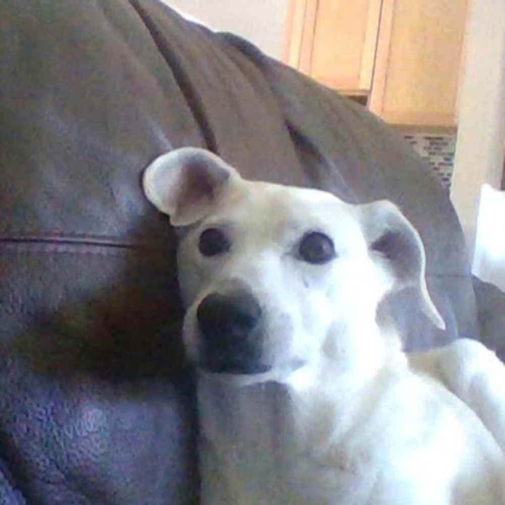 Meet your Posher, Khloe